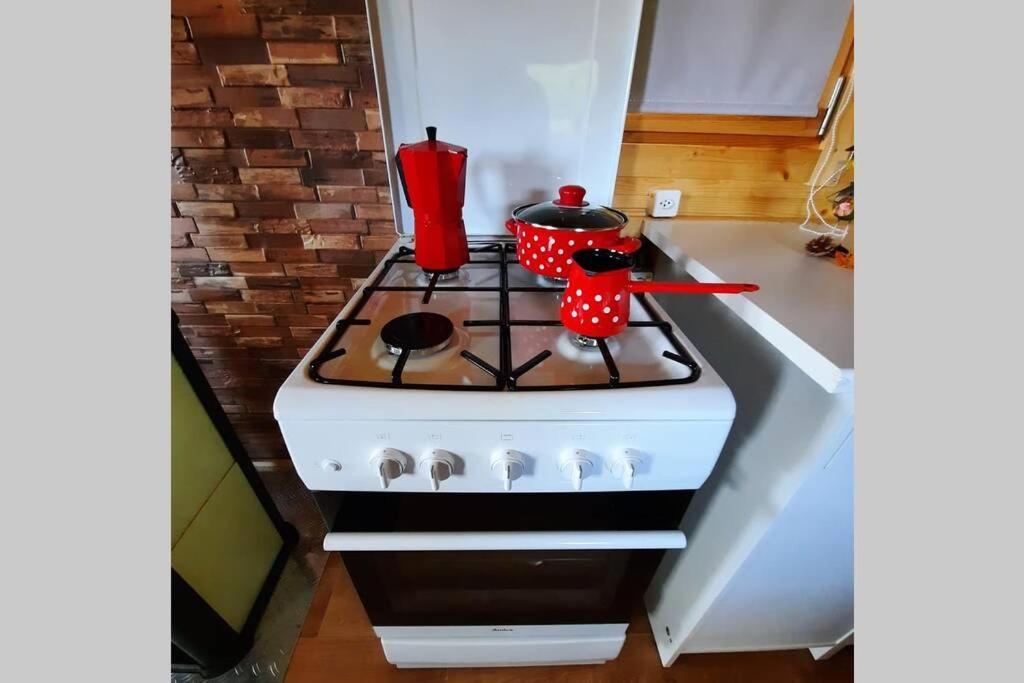 Autarkes Tiny House Mit Rheinblick Apartment Rumikon Luaran gambar