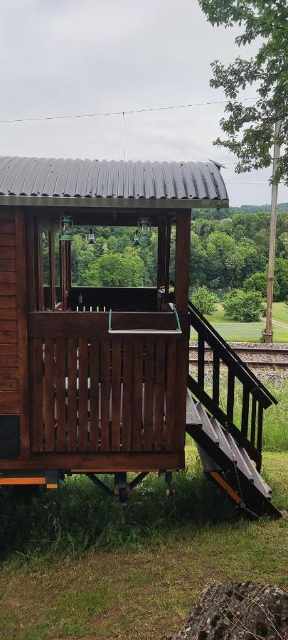 Autarkes Tiny House Mit Rheinblick Apartment Rumikon Luaran gambar